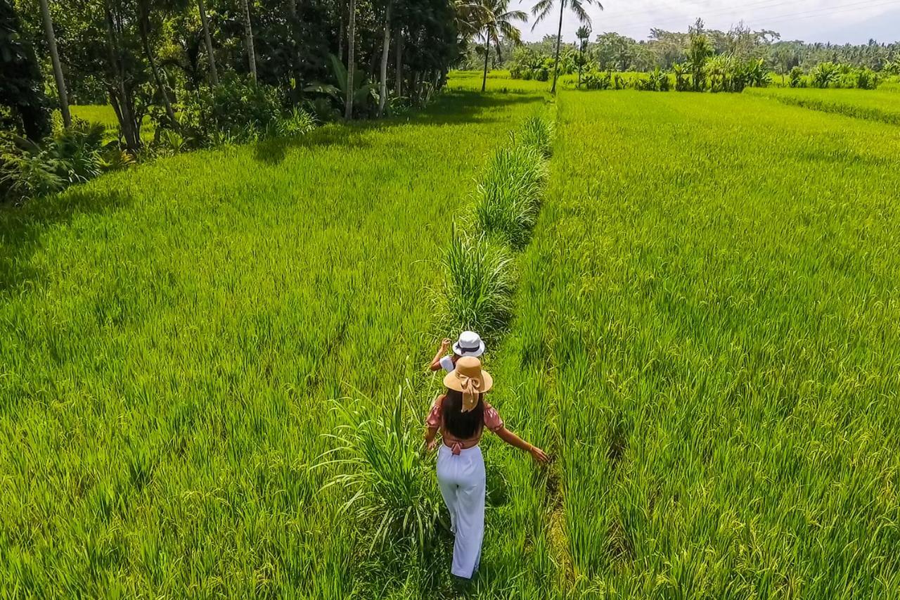 Puri Lumbung Village Паянган Экстерьер фото